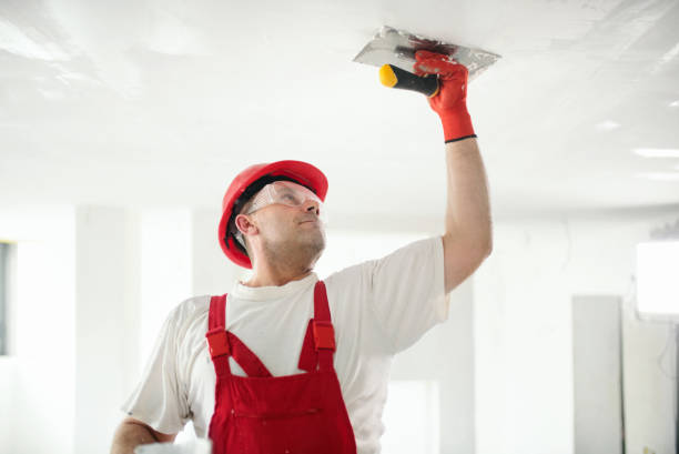 Trusted Murfreesboro, AR Painting & Drywall Services Experts